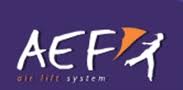 Logo AEF